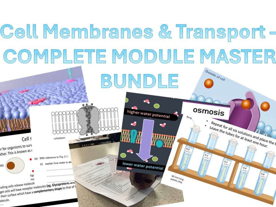 OCR A-Level Biology: Cell Membranes & Transport – COMPLETE MODULE MASTER BUNDLE