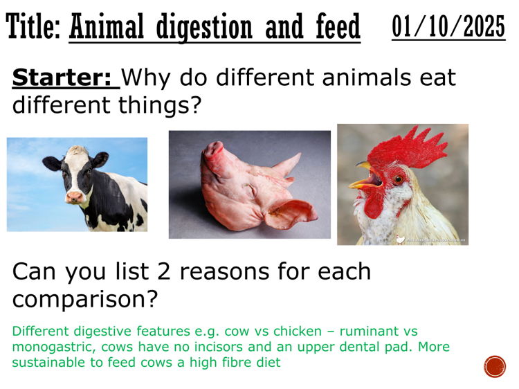 Animal Nutrition & Digestive Adaptations