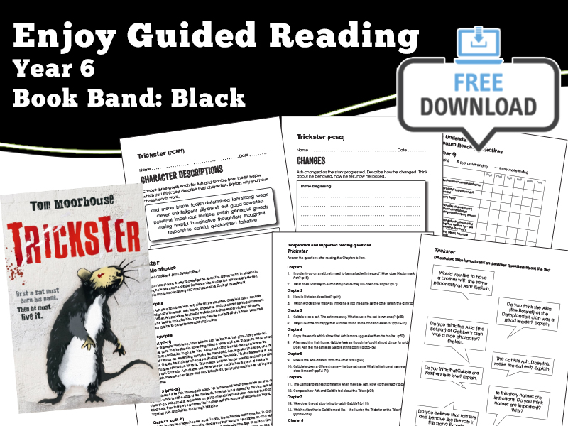 Guided Reading Notes: Trickster — Year 6