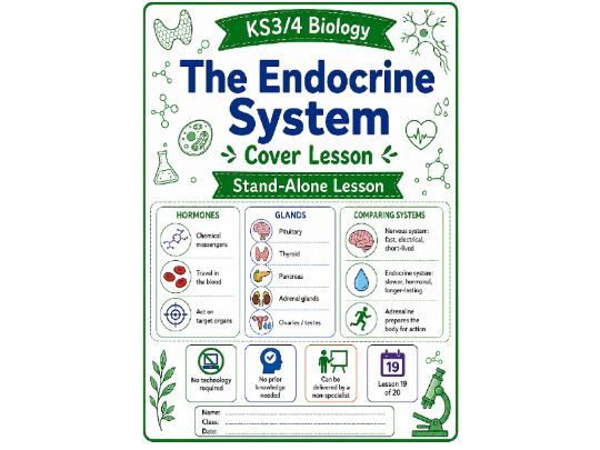 Endocrine system cover lesson (L19) Biology