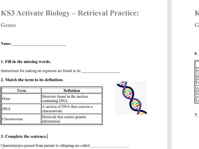 KS3 Activate Biology – Retrieval Practice: Genes (Answers Included)