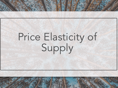 Cambridge AS Level Economics - 2.3 Price elasticity of supply