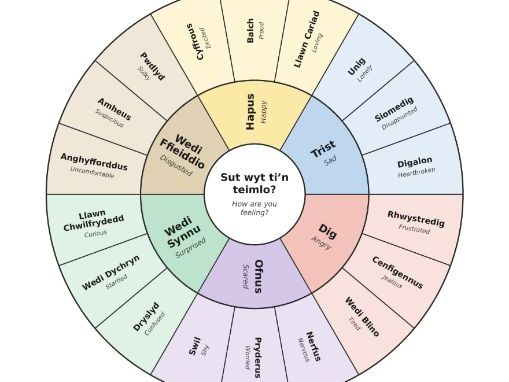 Cylch Emosiynau Welsh Emotions Wheel Y1-4