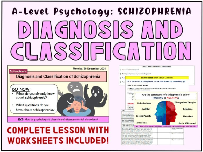 Alevel Psychology THE DIAGNOSIS AND CLASSIFICATION OF SCHIZOPHRENIA