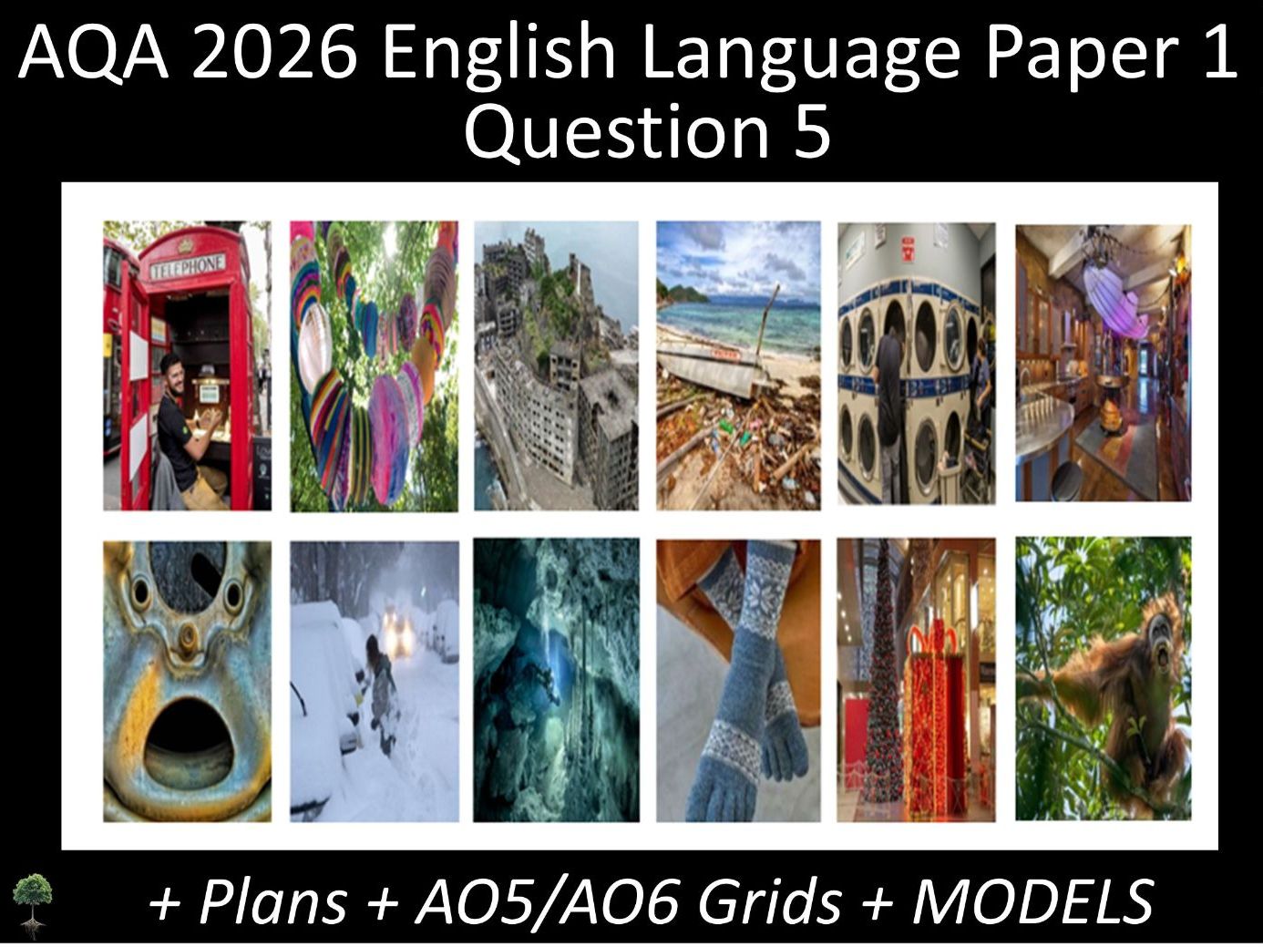 Twelve Question 5 - AQA 2026 English Language Paper 1| Plans, AO Grids, Models