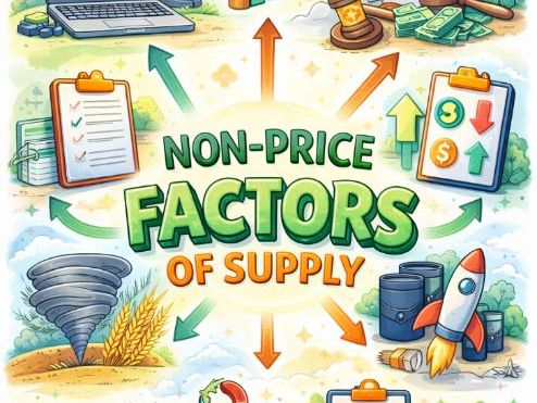 IBDP Economics - Non-Price Determinants of Supply - Classroom display