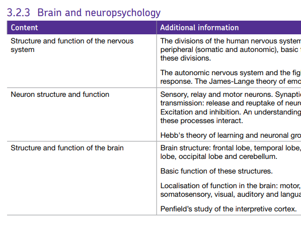 BRAIN AND NEUROPSYCHOLOGY TOPIC - AQA GCSE PSYCHOLOGY (9-1)