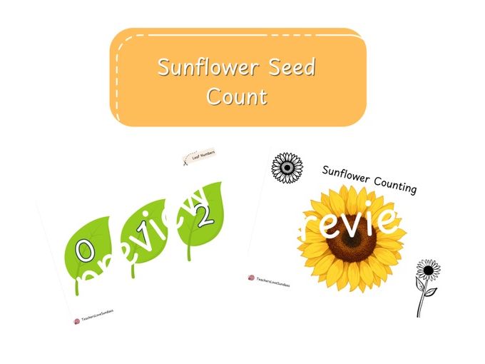 Sunflower Seed Counting