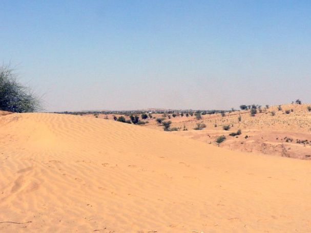 Thar Desert Case Study