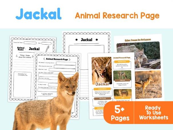 Jackal Fact File | African Wildlife Habitats and Adaptations