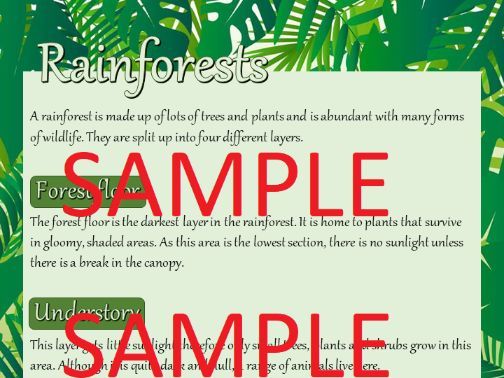 Rainforests Year 2 Comprehension