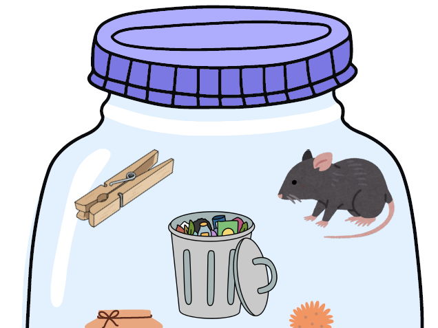 See It, Sound It, Write It! EY & KS1 Segmenting & Spelling Resource