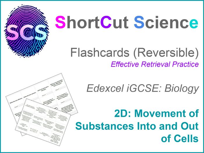 Flashcards Bio IGCSE Edexcel: Movement of Substances