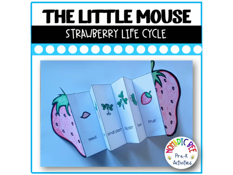 'The Little Mouse, the Red Ripe Strawberry, and the Big Hungry Bear' Activities - Life Cycle