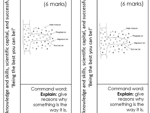 Cell Biology Structure Slip