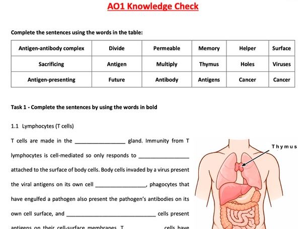 Cell Recognition and Immunity Independent Study Booklet