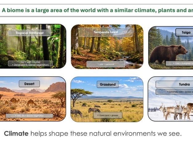 Geography Biomes - Climate Zones and World biomes lesson + worksheet