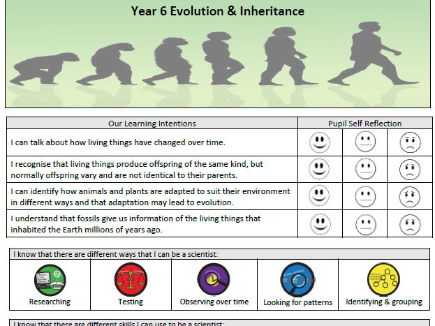 Science topic front pages year 6