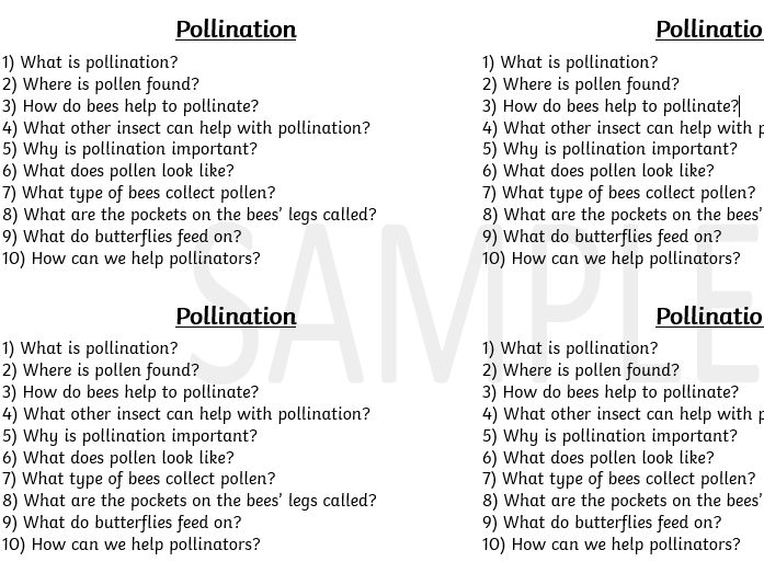 Bee Comprehension -Pollination