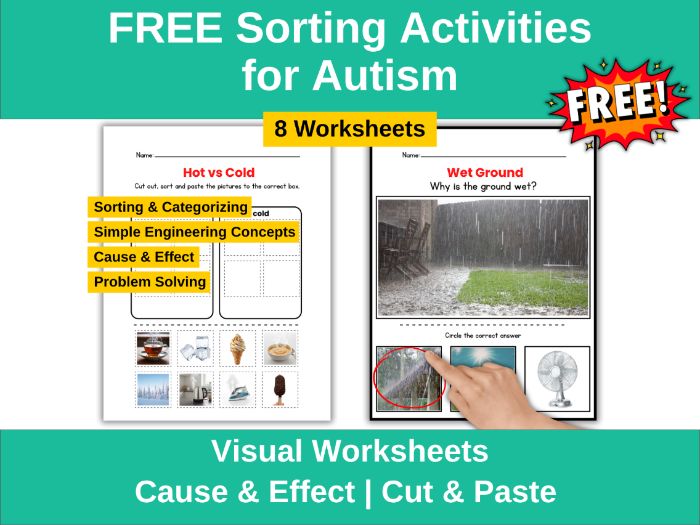 Free Sorting Activities Autism Worksheets