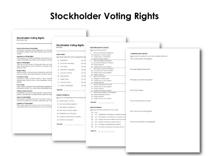Stockholder Voting Rights Teaching Resources
