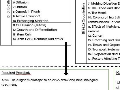 AQA Biology Triple simple 2 page Checklist with Required Practicals