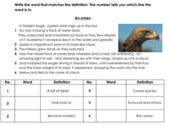 Vocabulary