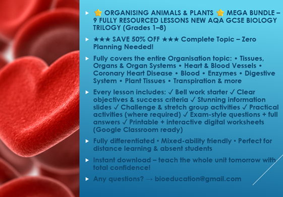 B4 Organising animals and plants