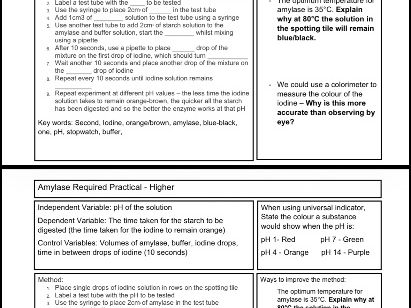 AMYLASE REQUIRED PRACTICAL REVISION SHEET