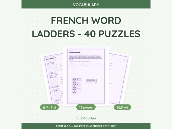 French Word Ladders - 40 Puzzles | 18 Sheets