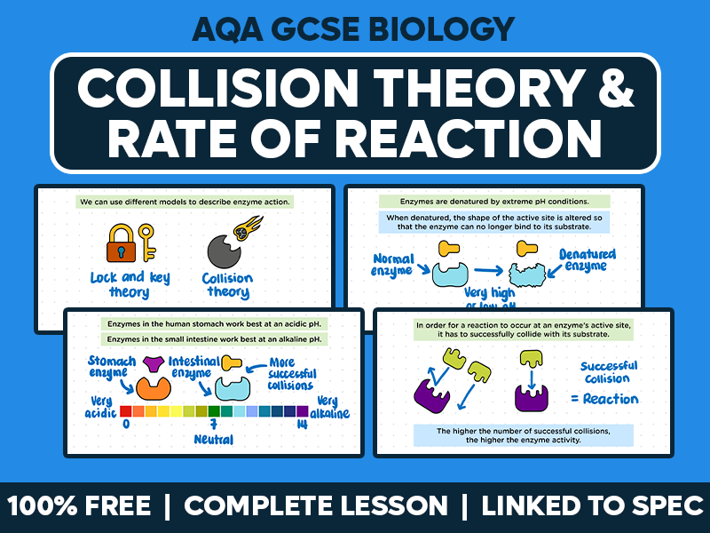 GCSE AQA Biology Complete Lesson - Collision Theory and Rate of Reaction