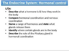 New spec AQA Biology 4.5.3 Endocrine system and blood glucose levels