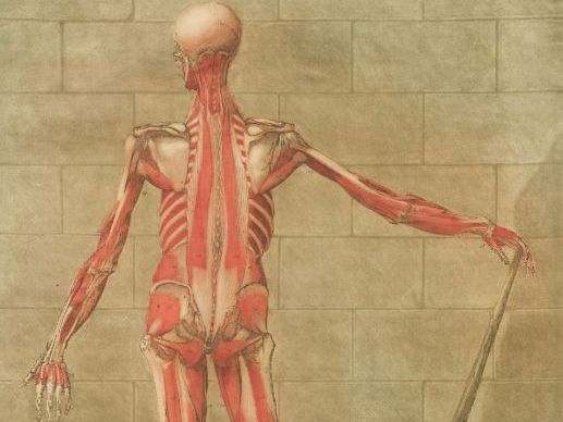 Edexcel GCSE Medicine revision resources