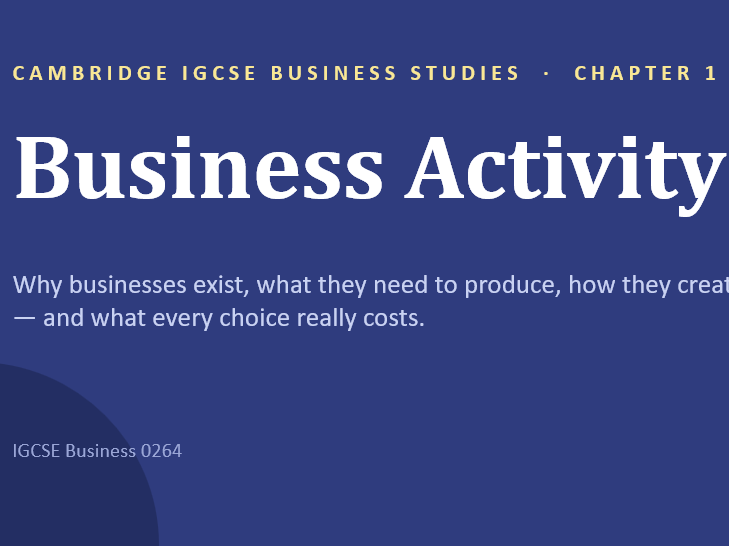 PPT - New 0264 Business Syllabus - Chapter 1 - Business Activity IGCSE