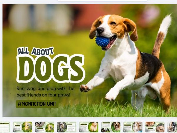 All About Dogs Comprehension Worksheets | KS1 Reading | SEND, Standard & GDS Differentiated Pack