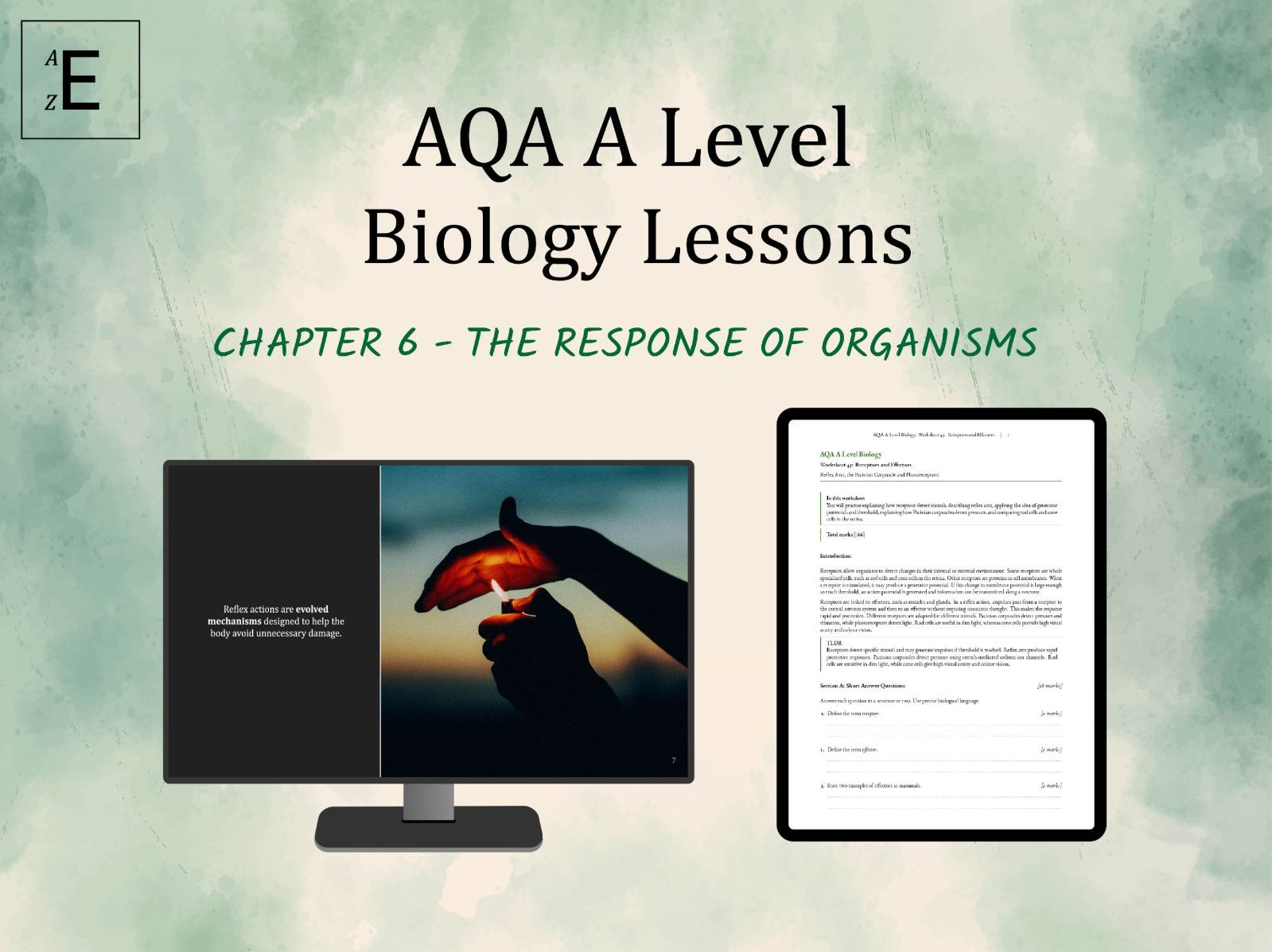 AQA A Level Biology Lessons Chapter 6 - The Response of Organisms