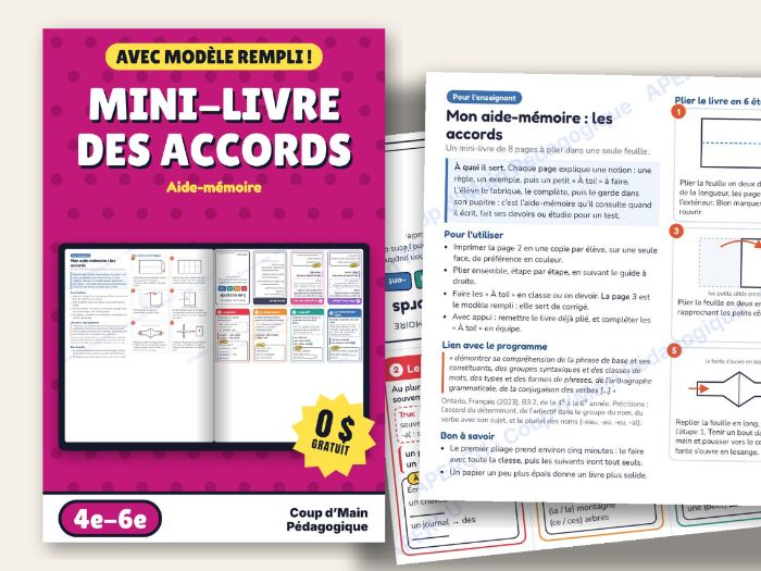 FREE French Grammar Agreement Mini Book Grade 4-6 | Les accords