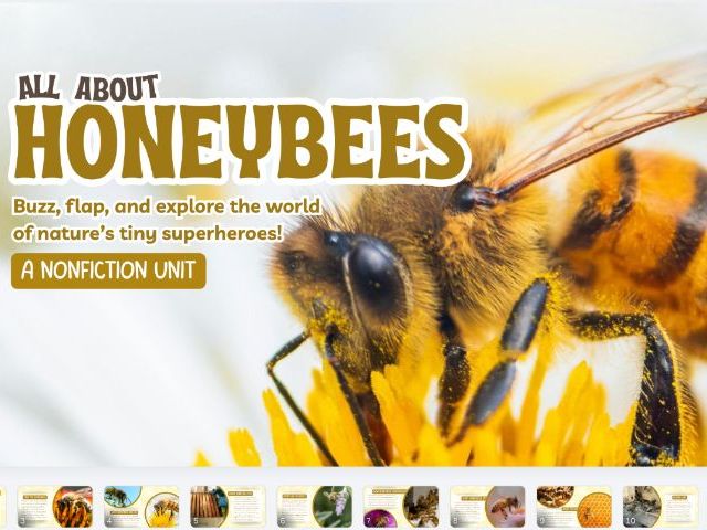 All About Honeybees Comprehension Worksheet | KS1 Science Reading Activity | Bees Nonfiction