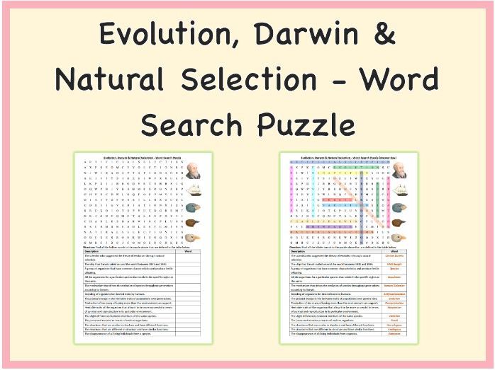 Evolution, Darwin & Natural Selection - Word Search Puzzle Worksheet, Printable PDF