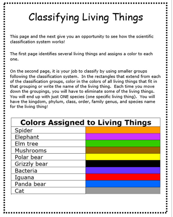Classification of Living Things The Five Kingdoms Teaching Resources