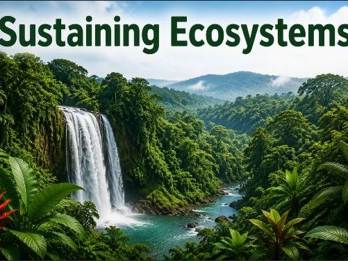 Sustaining Ecosystems- 4. Biome Flora & Fauna (OCR-B GCSE Geography)