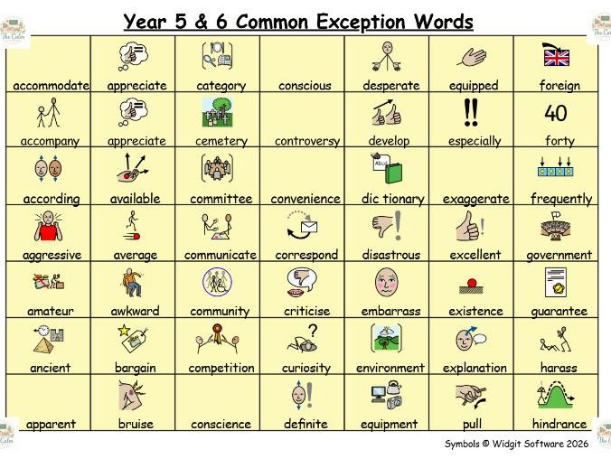 YEAR 5 & 6 COMMON EXCEPTION WORDS
