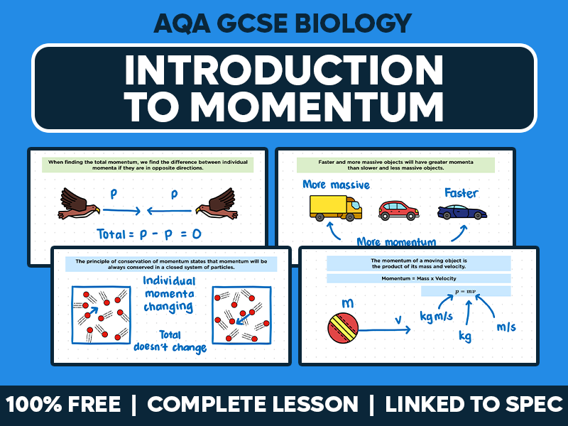 GCSE AQA Physics Complete Lesson - Introduction to Momentum
