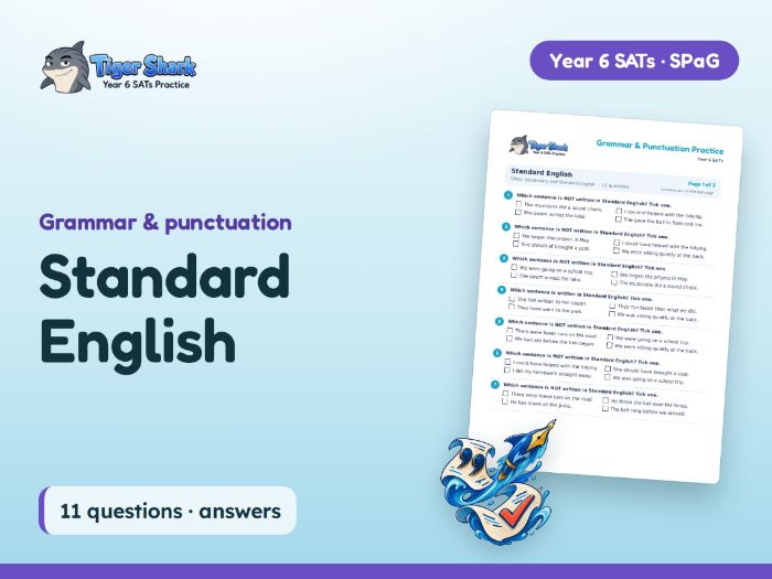 Standard English Worksheet: Year 6 SATs SPaG