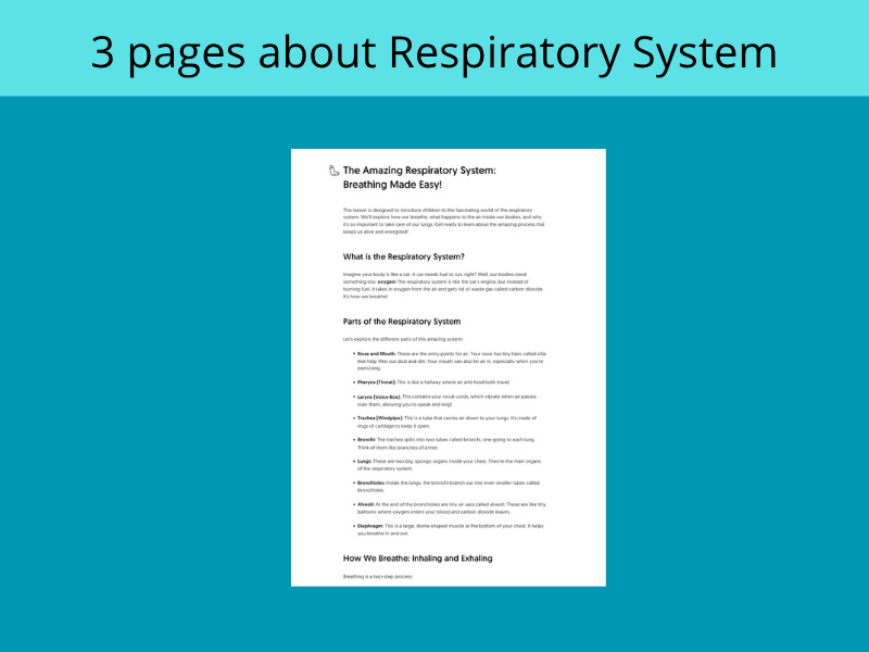 The Amazing Respiratory System