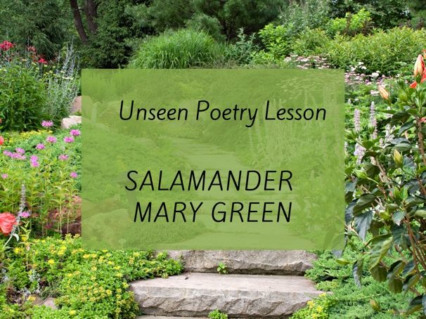 Unseen Poetry lesson ‘Salamander’