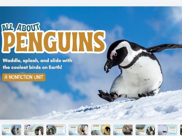 All About Penguins Comprehension Worksheets | KS1 Reading