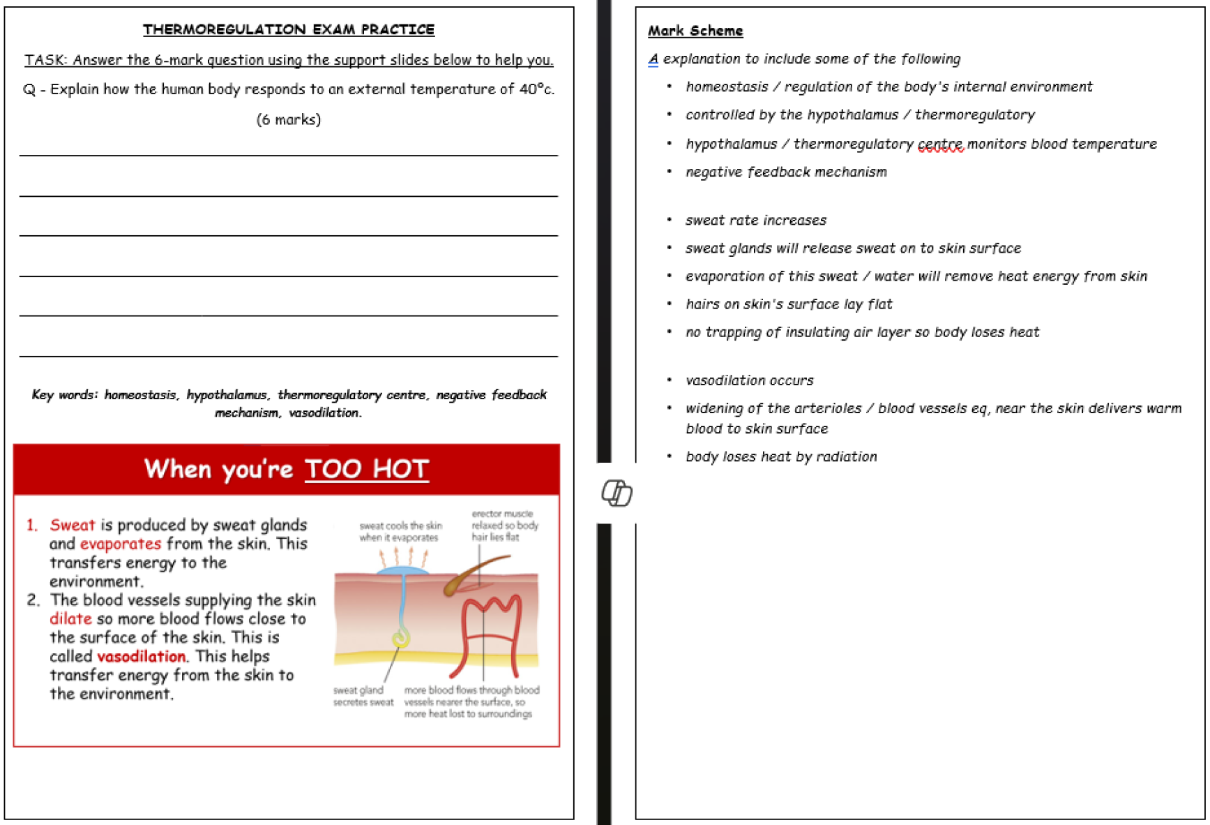 docx, 530.11 KB