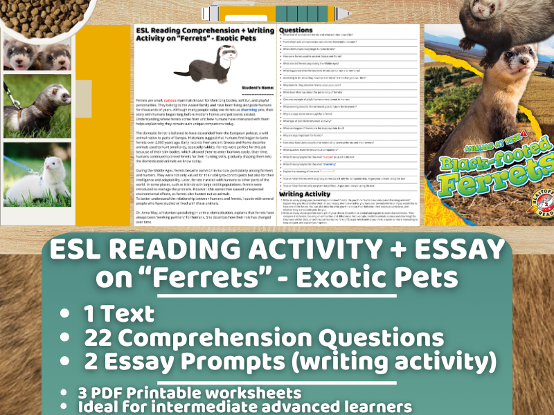 ESL Reading Comprehension + Writing Activity Worksheets - Ferrets - Exotic Pets