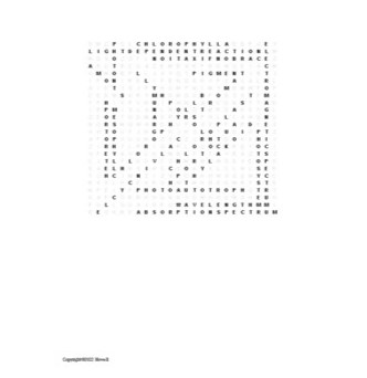 Photosynthesis Word Search for an Introduction to Biology Course ...